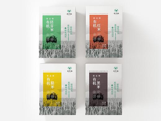 河南·原阳水牛稻大米包装&物料设计