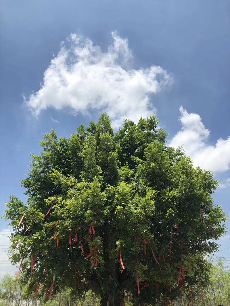 一张照片设计成海报 (第二波)@做设计的面条（图ZMTIxNjEzODIw） - 海报 - 站酷设计师古先森原创素材 - 站酷ZCOOL