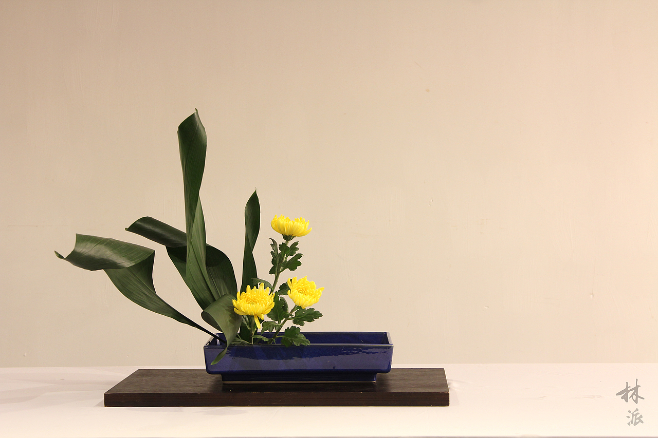 林派花道·《花漾年华》厦门大学美学讲座(图ZNDgwNTk0ODA=) - 绘画 - 站酷设计师林派花道原创素材 - 站酷ZCOOL