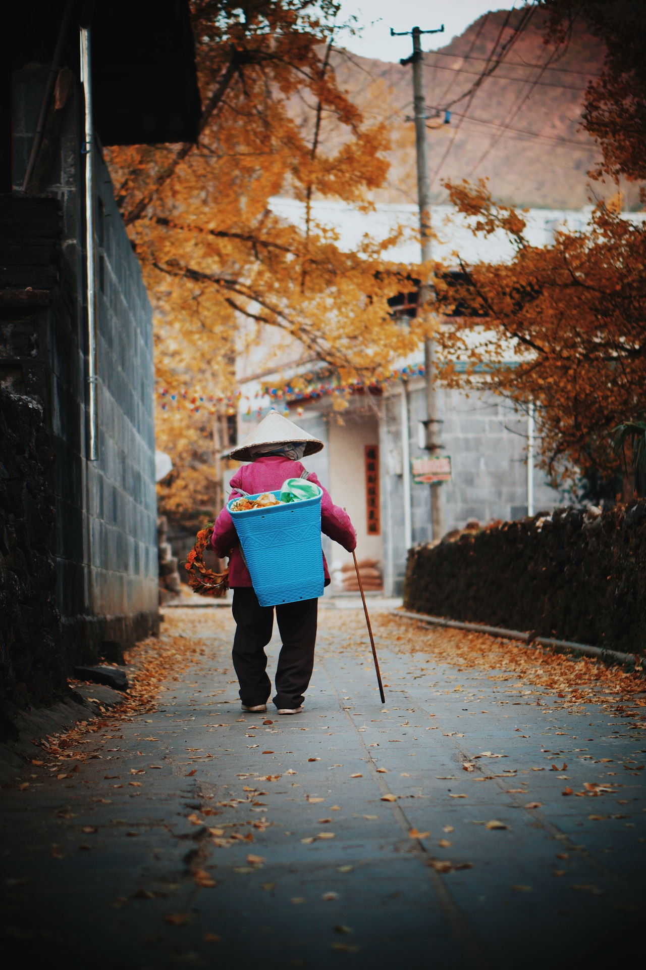 腾冲银杏村（图ZMjM1ODYzMTc2） - 人文/纪实摄影 - 站酷设计师烂手机换盆原创素材 - 站酷ZCOOL