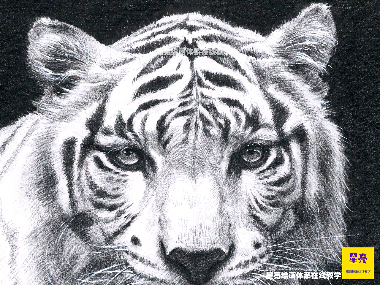 虎年插画素描老虎（图ZMjgzMzQxNjQ4） - 商业插画 - 站酷设计师星亮绘画art原创素材 - 站酷ZCOOL