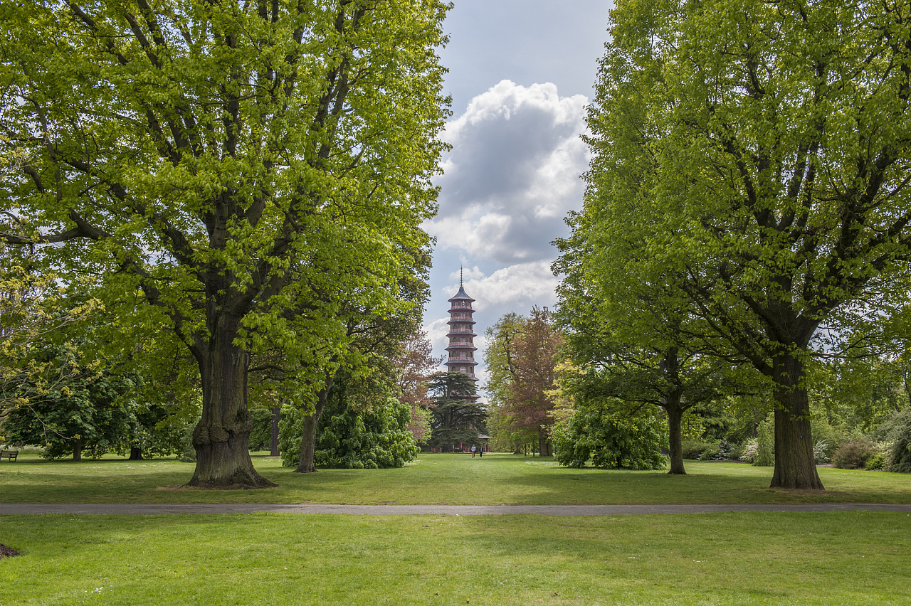 丘园（英国皇家植物园）Kew Royal Botanic Gardens|摄影|风光摄影|秋千上的树叶 - 原创作品 - 站酷 (ZCOOL)