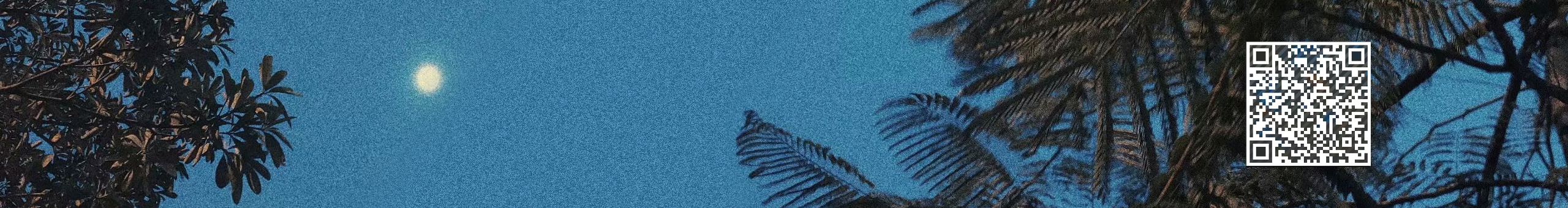 壹昂杨的个人主页（封面预览） - 主页封面设置 - 站酷设计师壹昂杨原创素材 - 站酷ZCOOL