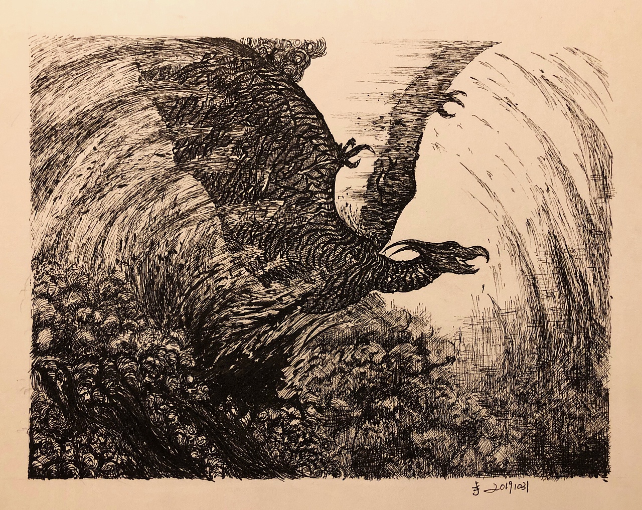 哥斯拉2019出场怪兽拉顿