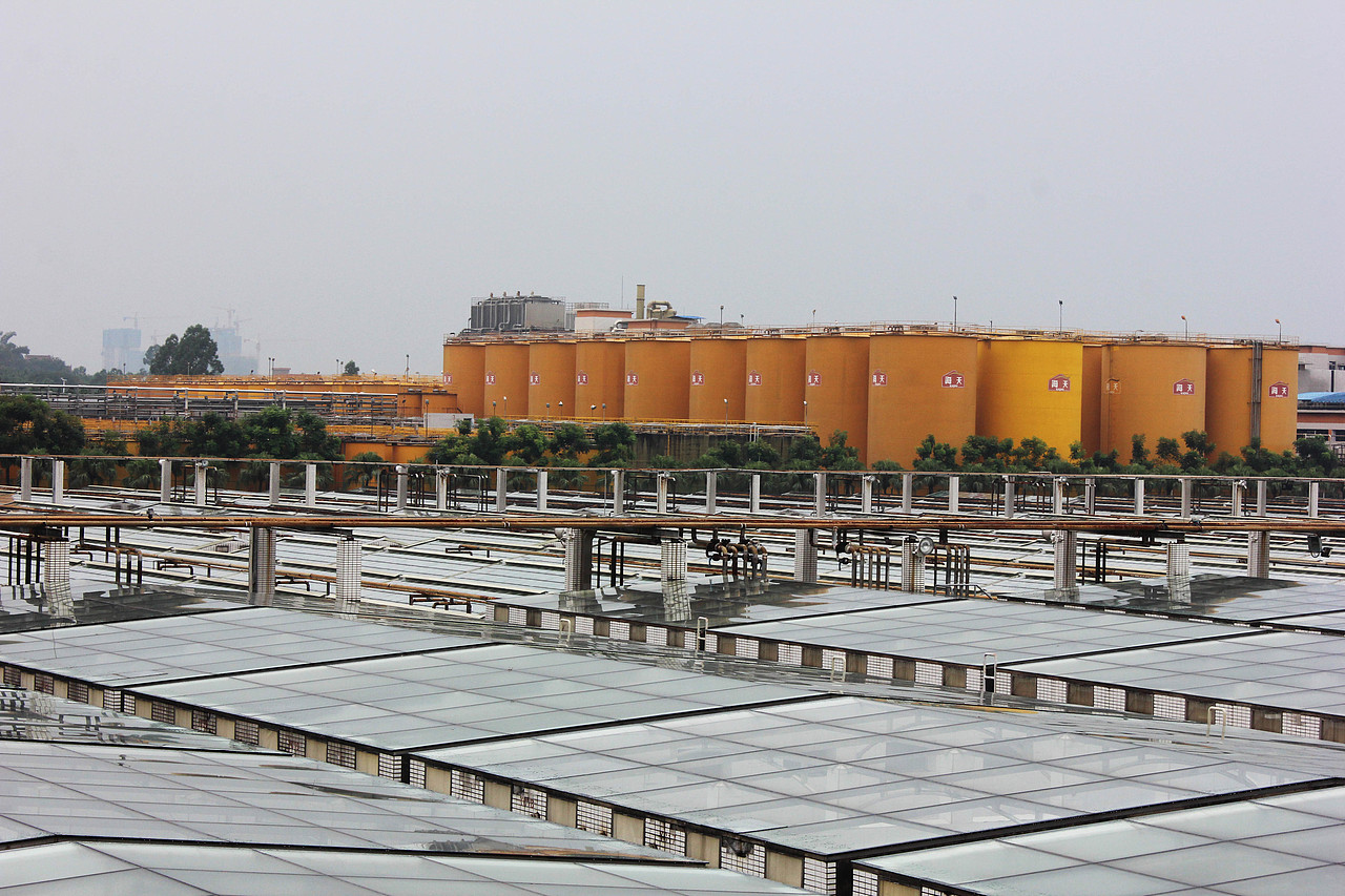 打酱油喽~海天味业阳光工厂观光之旅