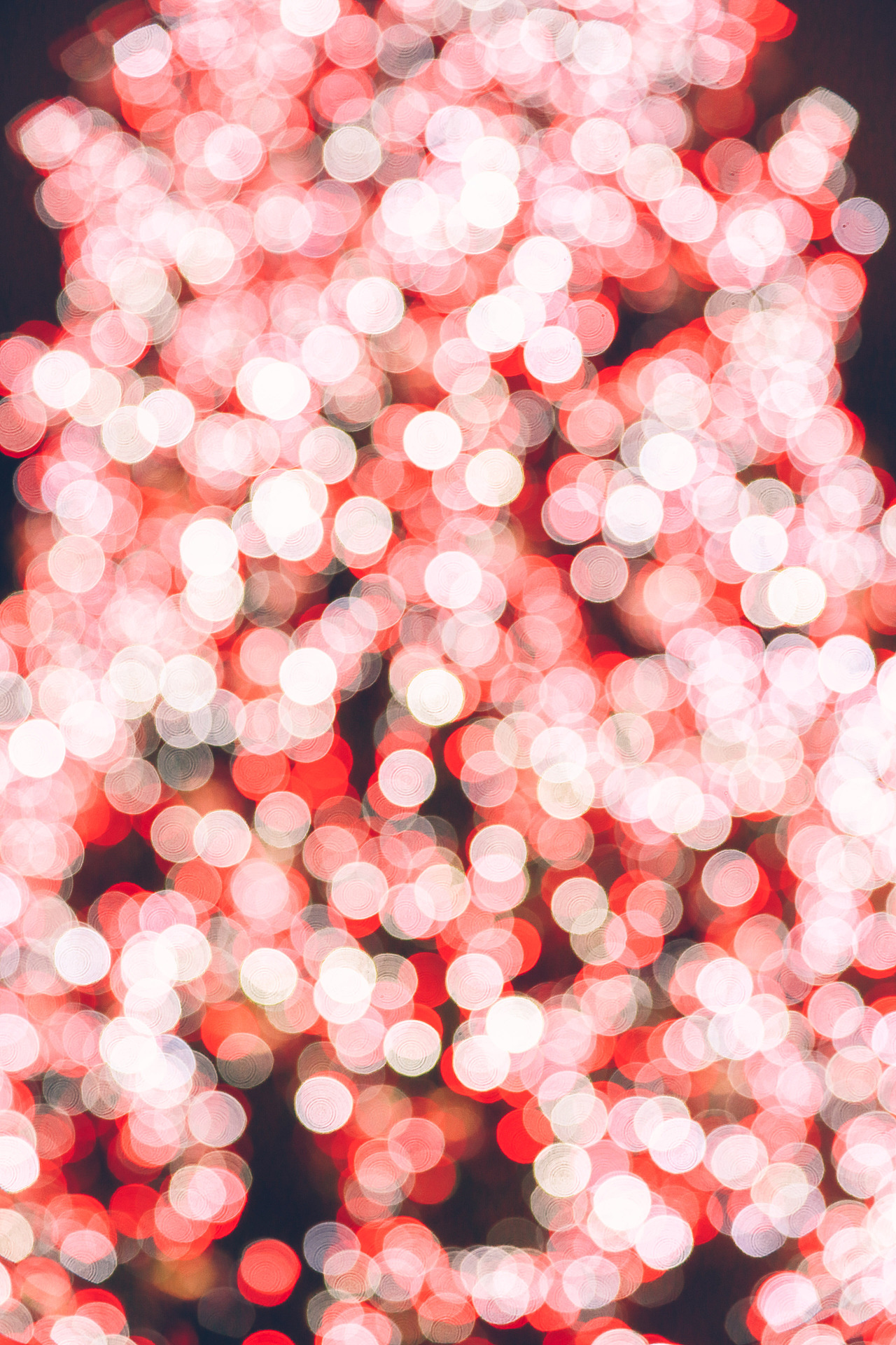 London Covent Garden 圣诞集市