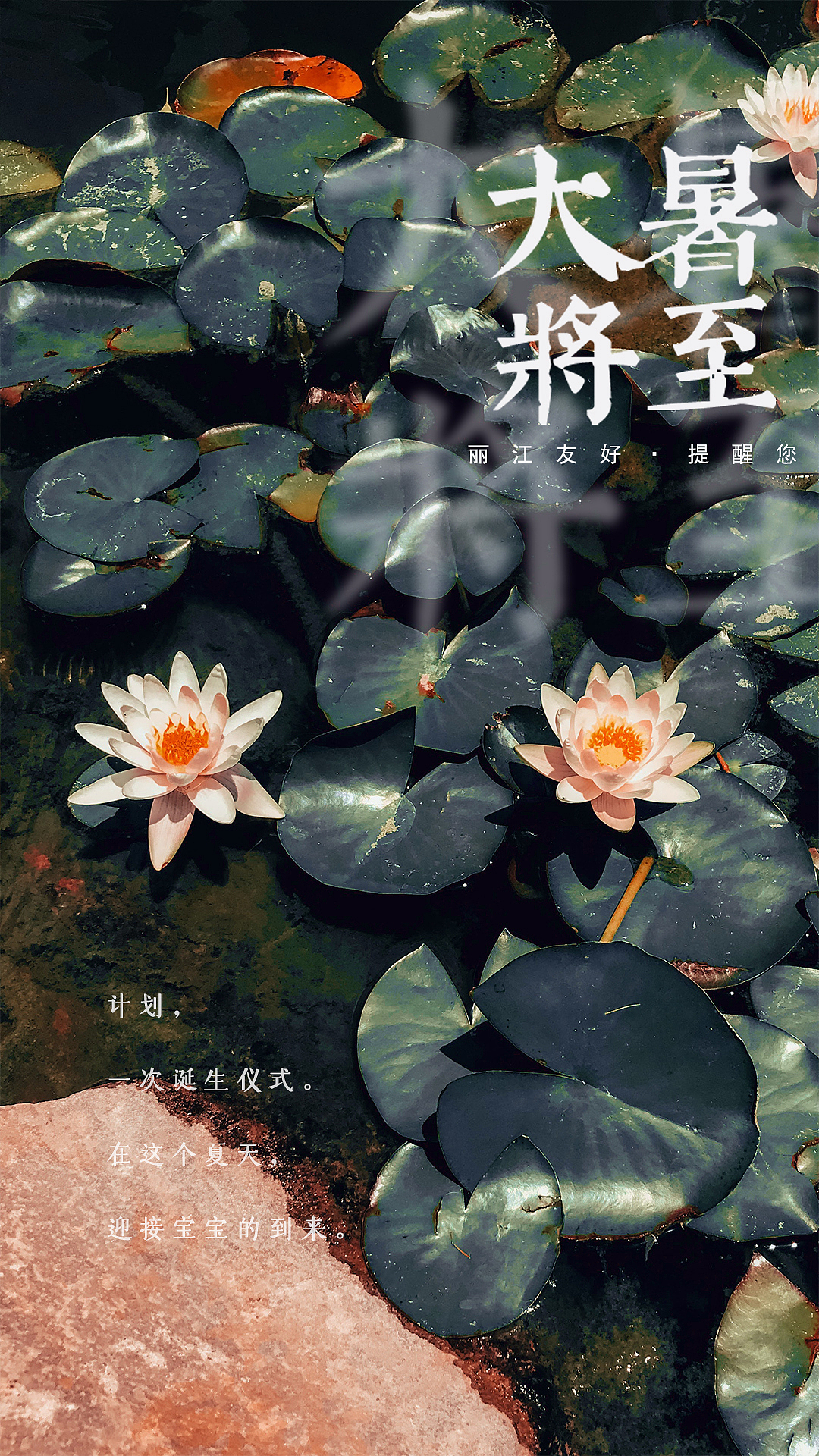 大暑（图ZMjY1MzM2MzMy） - 海报 - 站酷设计师爱溜达的王大爷原创素材 - 站酷ZCOOL