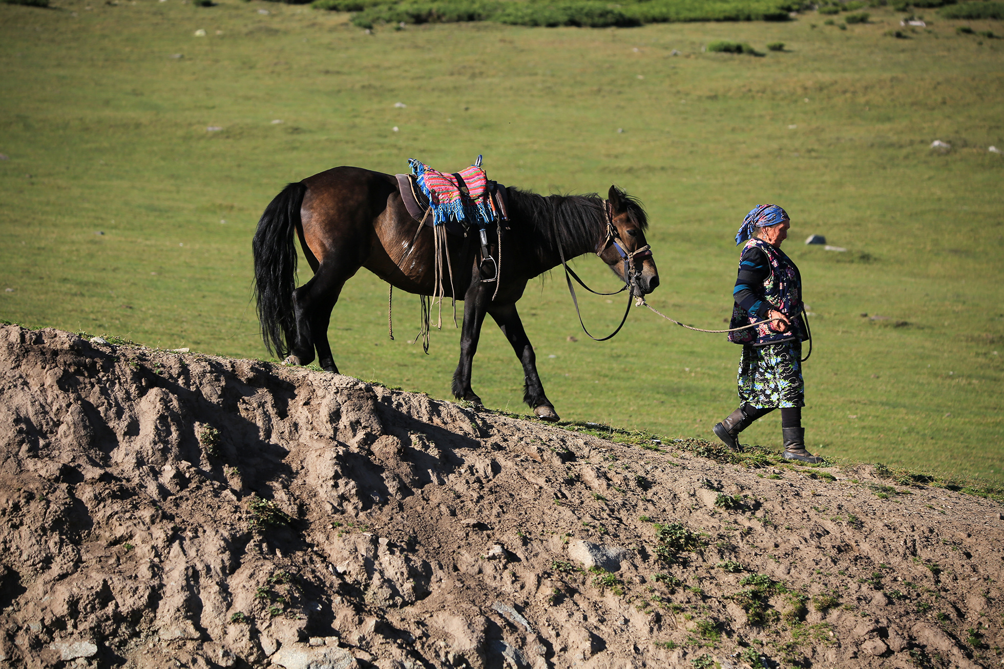 镜头下的游牧者-现代蒙古生活 1-草原元素---蒙古元素 Mongolia Elements