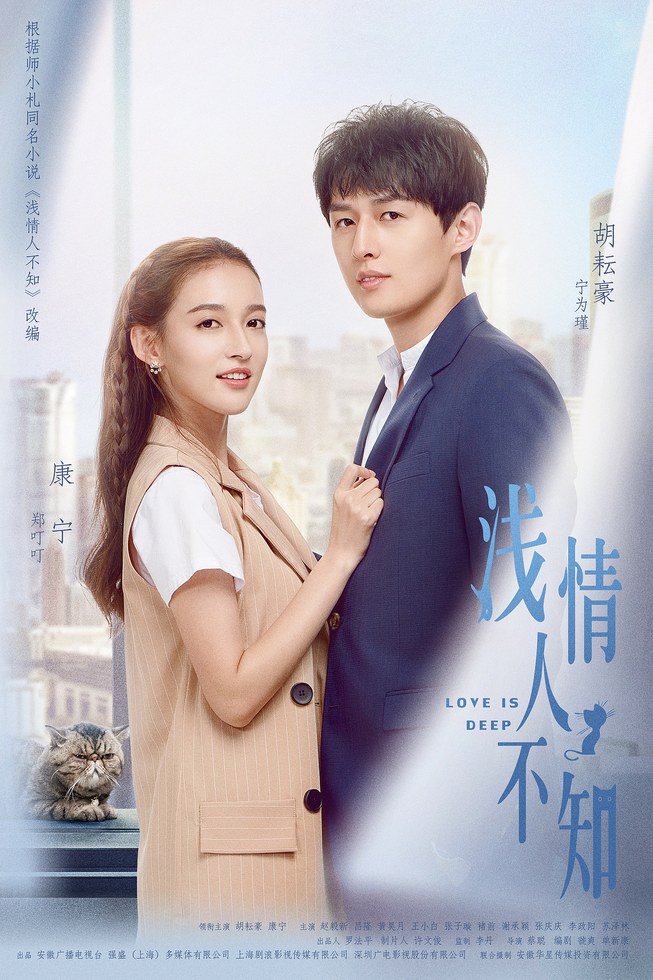 网剧浅情人不知海报