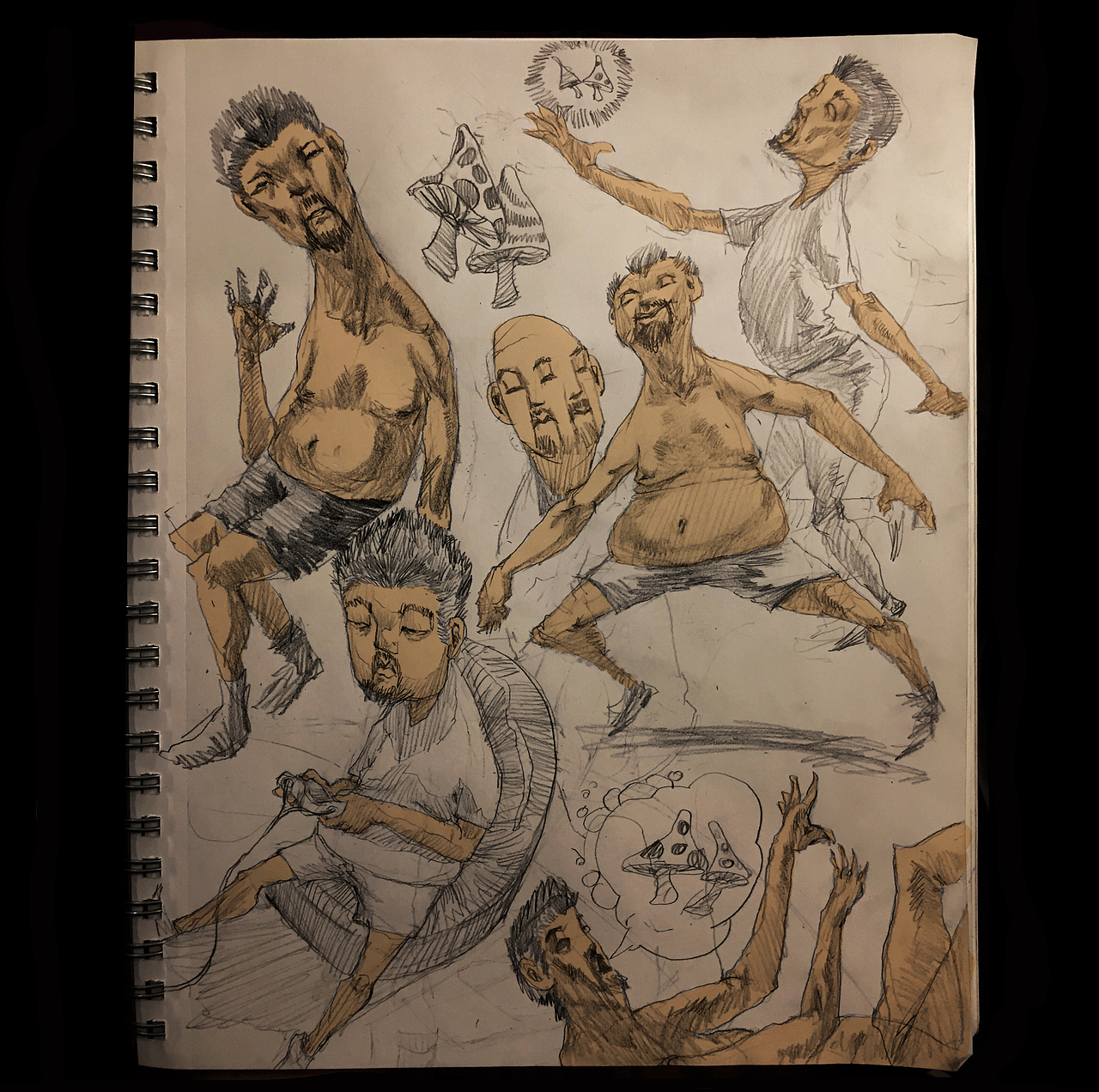 关于蘑菇 关于泵 关于草