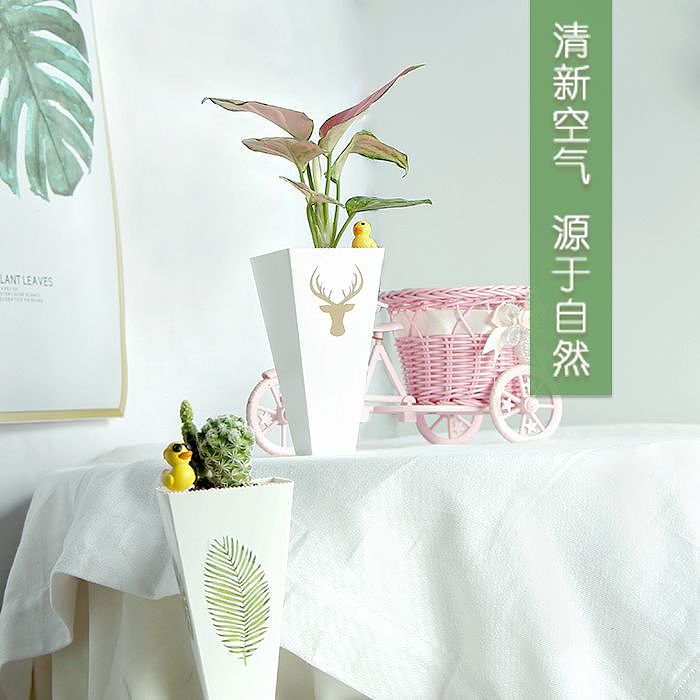 植物详情页（图ZMjA0NjA0OTA0） - 宣传物料 - 站酷设计师梁小样孒原创素材 - 站酷ZCOOL