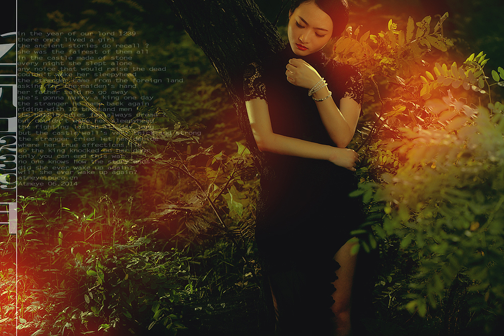 公元1239年 @秋瞳