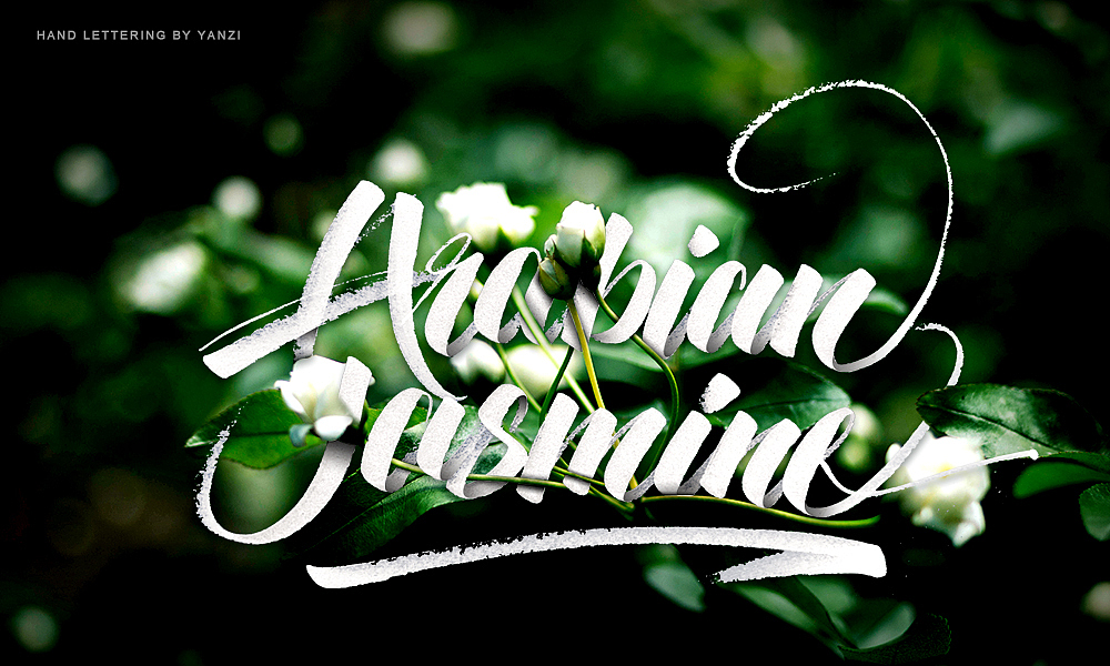 手写英文—3月合集|平面|字体/字形|不二青年燕子_原创作品-站酷zcool