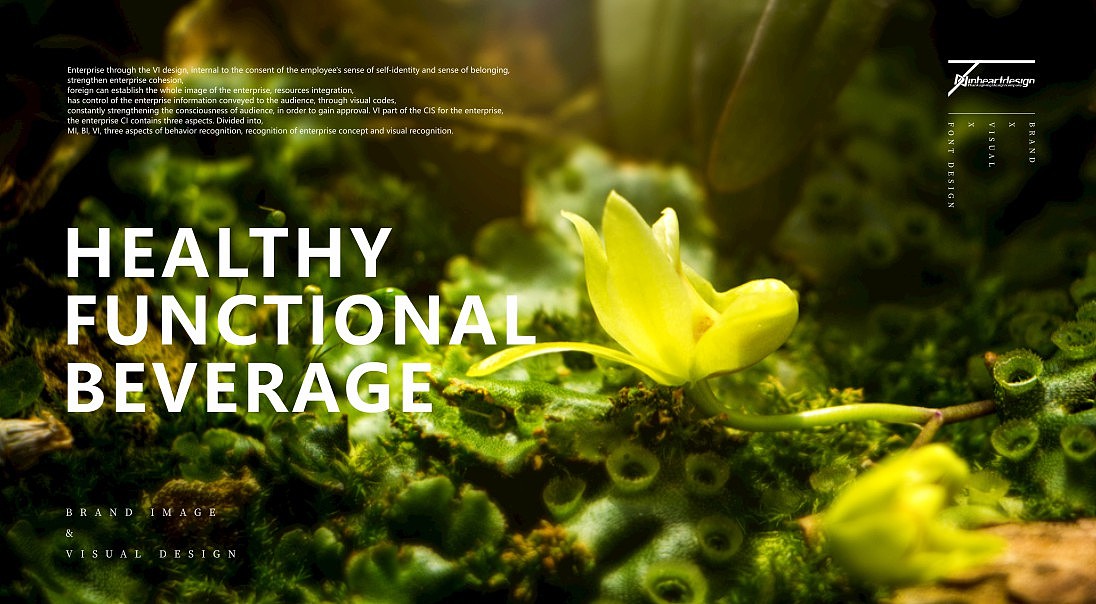 百年至尊铁皮石斛花健康饮品包装系统设计-因心设计