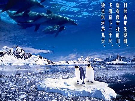 PS合企鹅与鲸鱼