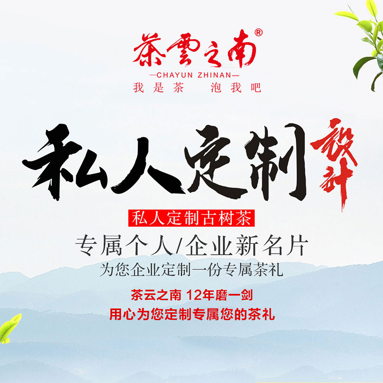 茶云之南私人订制古树茶