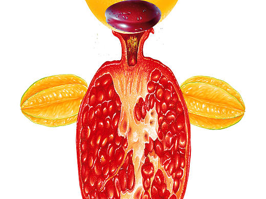 水果人3（个人主页-ZMTg3Mjk1NDg=） - 儿童插画 - 站酷设计师孩子气123原创素材 - 站酷ZCOOL