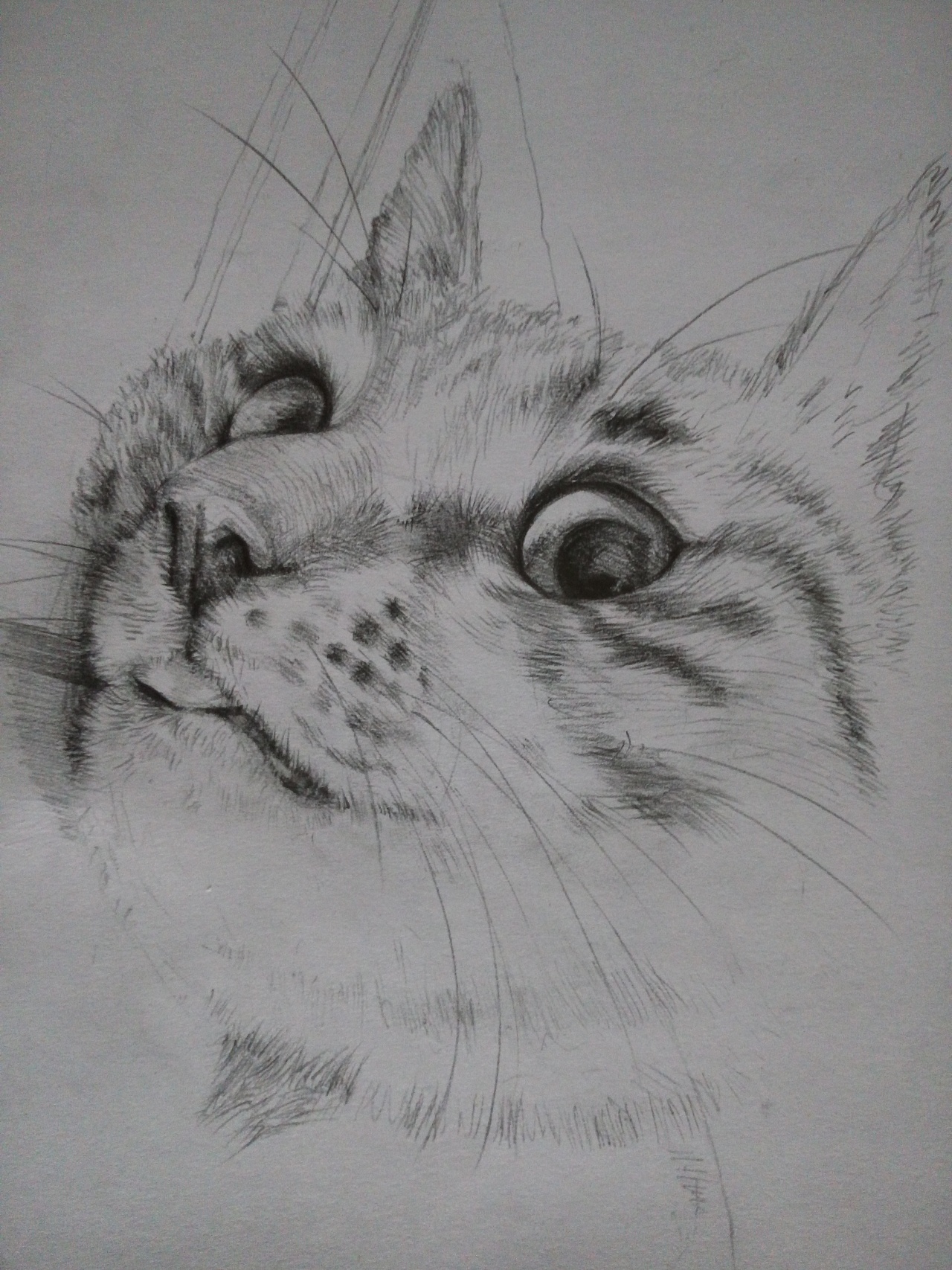 2b铅笔|纯艺术|绘画|mx工作室 - 原创作品 - 站酷 (zcool)