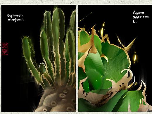 植物插画（个人主页-ZNjkwNjYzNDA=） - 绘画 - 站酷设计师Niko的小画站原创素材 - 站酷ZCOOL