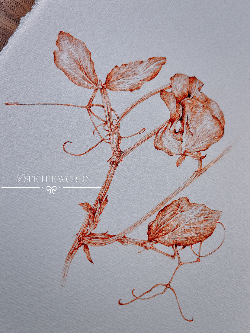 蘸水笔针管笔｜三种豆花科普（图ZMzY5Mzc3NDIw） - 艺术插画 - 站酷设计师CatCastleDZ原创素材 - 站酷ZCOOL