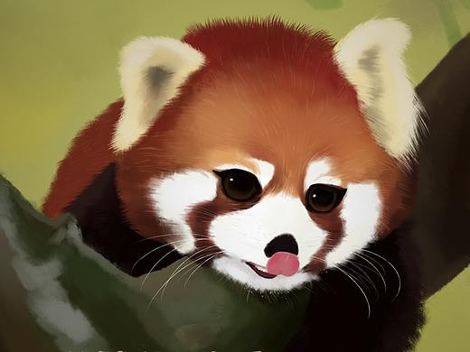 世界地球日