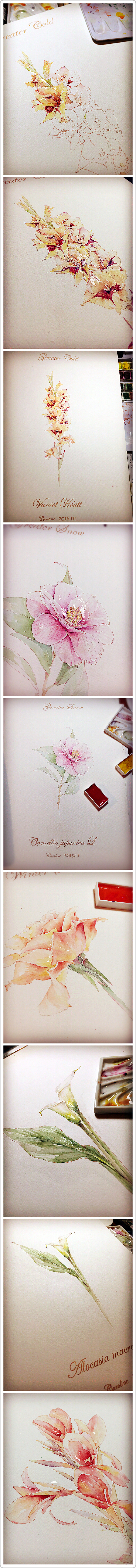 花解语 ［一季］（图ZMzUzMjU3MzY=） - 商业插画 - 站酷设计师林Caroline原创素材 - 站酷ZCOOL