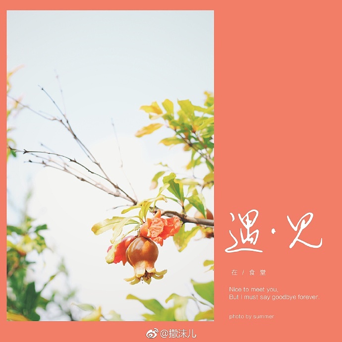 颜色的奇妙（图ZOTA0Mjk5MzY=） - 风光摄影 - 站酷设计师YanyanLee原创素材 - 站酷ZCOOL