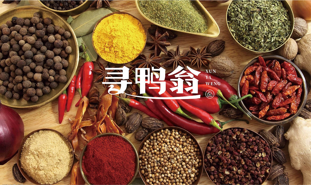 寻鸭翁-卤味品牌设计