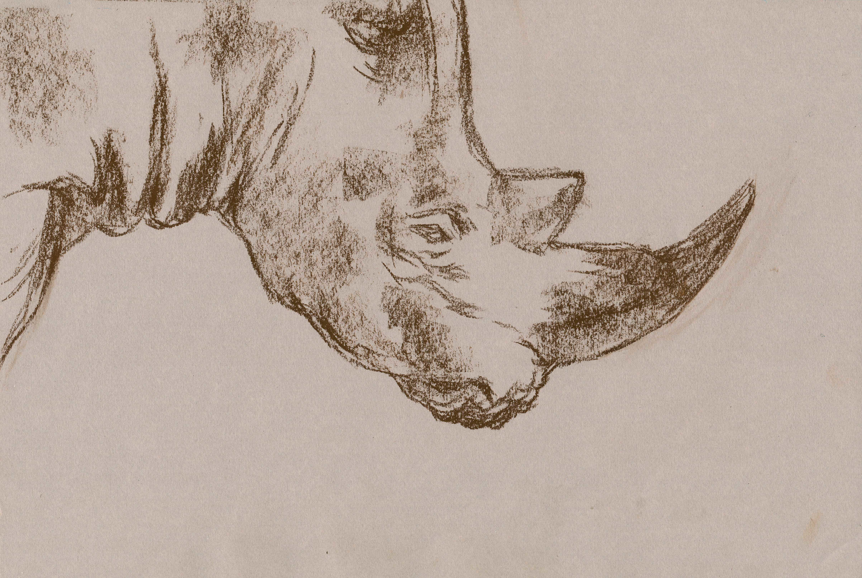 粉彩犀牛|纯艺术|彩铅|艺芒 - 原创作品 - 站酷 (zcool)