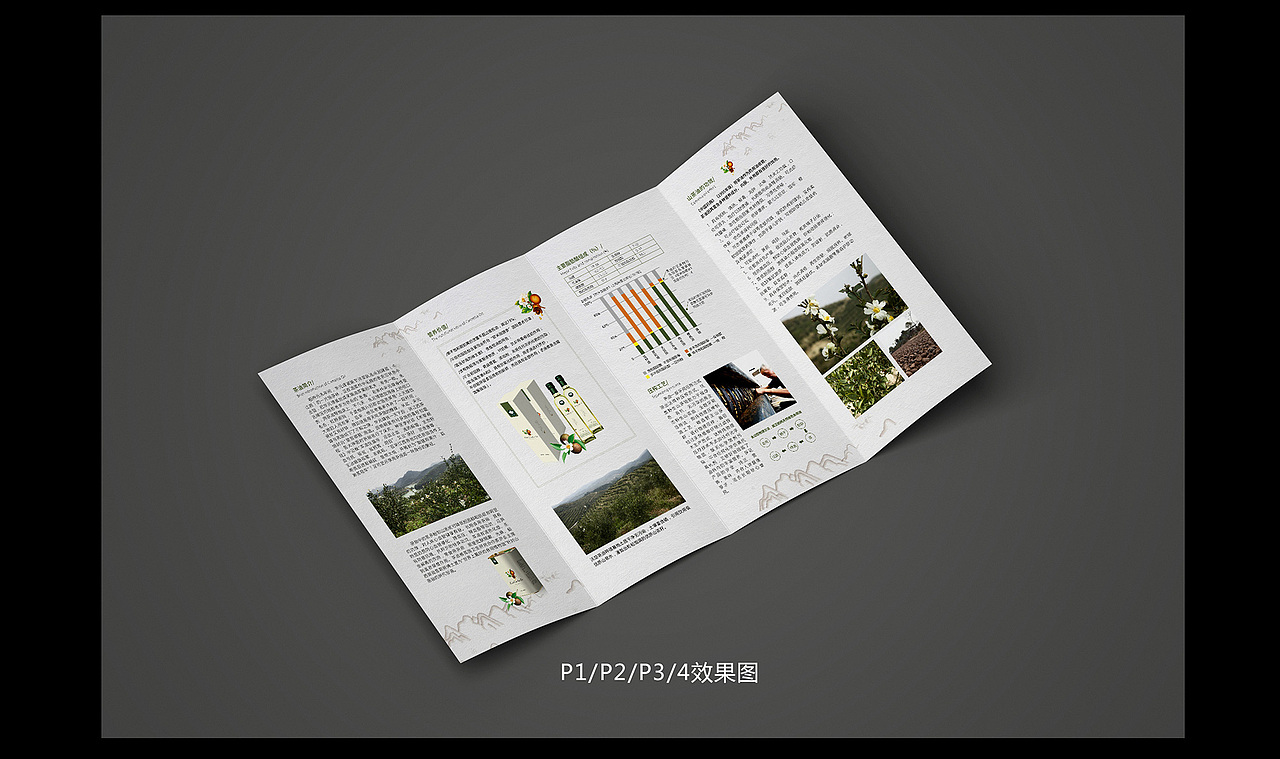 沃埜山茶油四折页设计