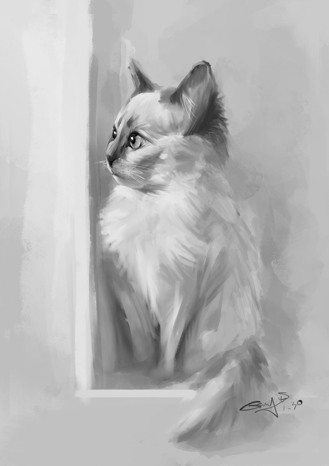 往期作品整合【非商业】