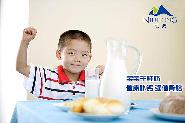纽鸿羊奶产品（图ZODUxODI2OTI=） - 宣传物料 - 站酷设计师小天使1号原创素材 - 站酷ZCOOL