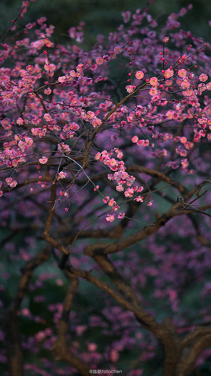 东方晨暮,四季更迭,这一年。