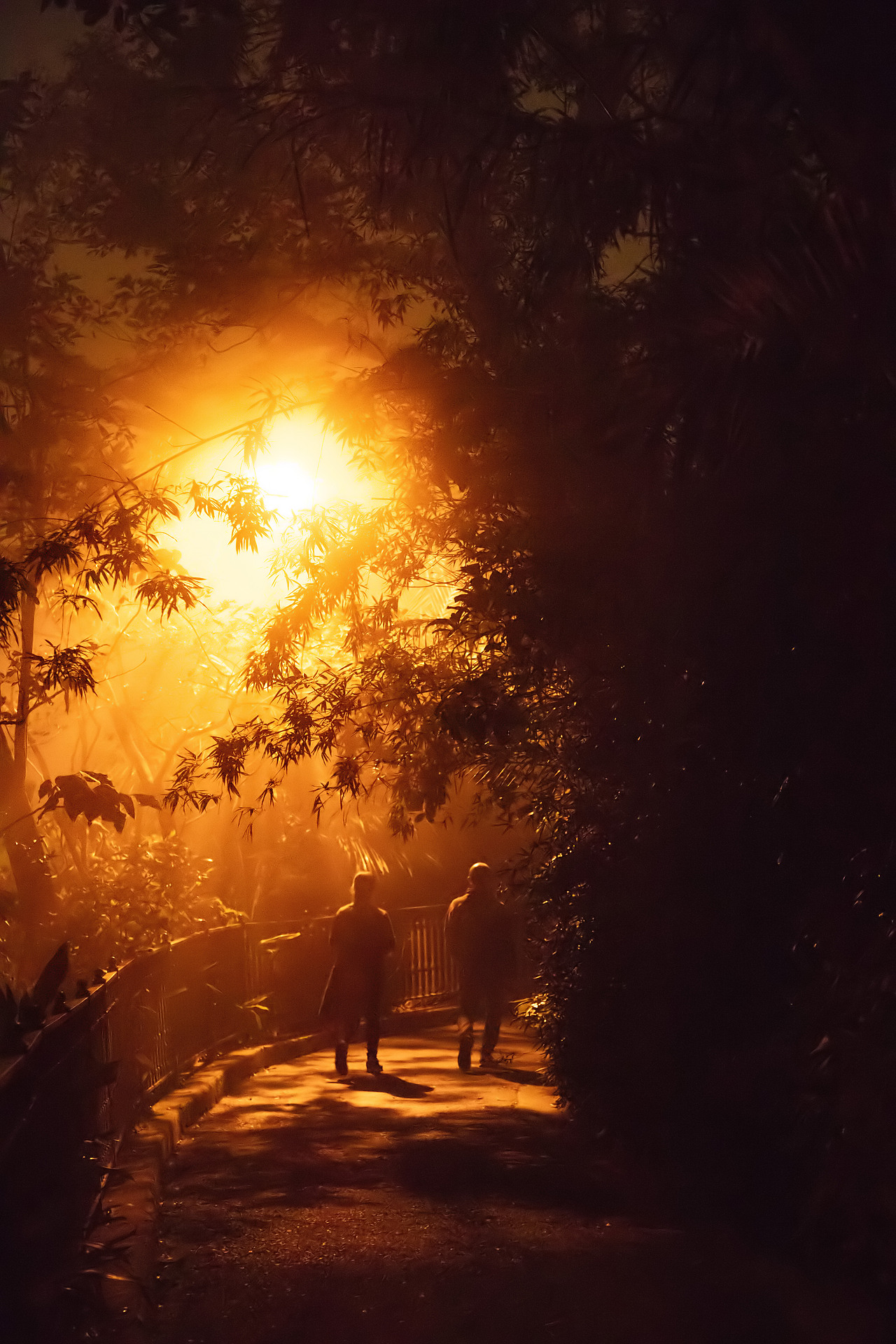 香港摄影|HK（图ZMTQ2Mjg5MDE2） - 风光摄影 - 站酷设计师東湖EL原创素材 - 站酷ZCOOL