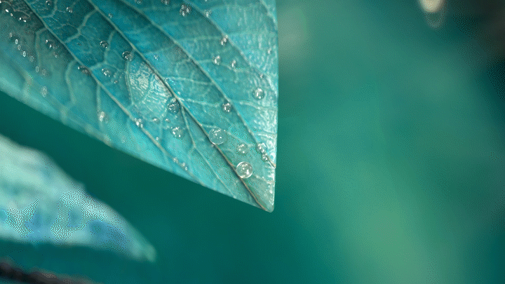 【2021年度作品合集】（图ZMjgzNTA5Mzky） - 动画/影视 - 站酷设计师Zoro_Han原创素材 - 站酷ZCOOL