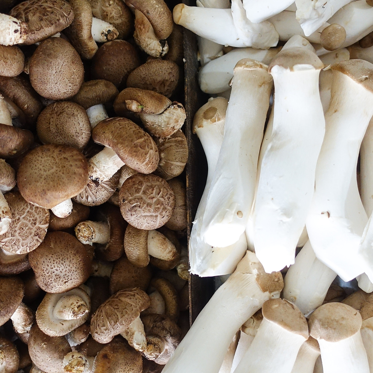 深圳美食摄影·菜市场的Display（图ZMTUzNTg4ODky） - 产品摄影 - 站酷设计师江慧摄影JHIMAGE原创素材 - 站酷ZCOOL