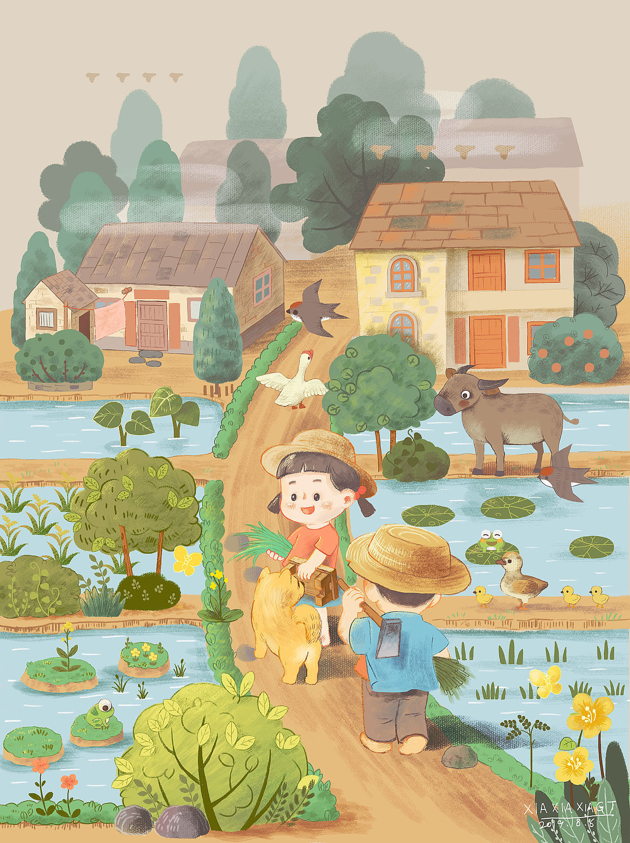 记得童年时的初夏时节,我经常带着妹妹去稻田里寻找一些有趣的东西,各种植物,各种昆虫,如今远离他乡,这样的时光或许不会再拥有