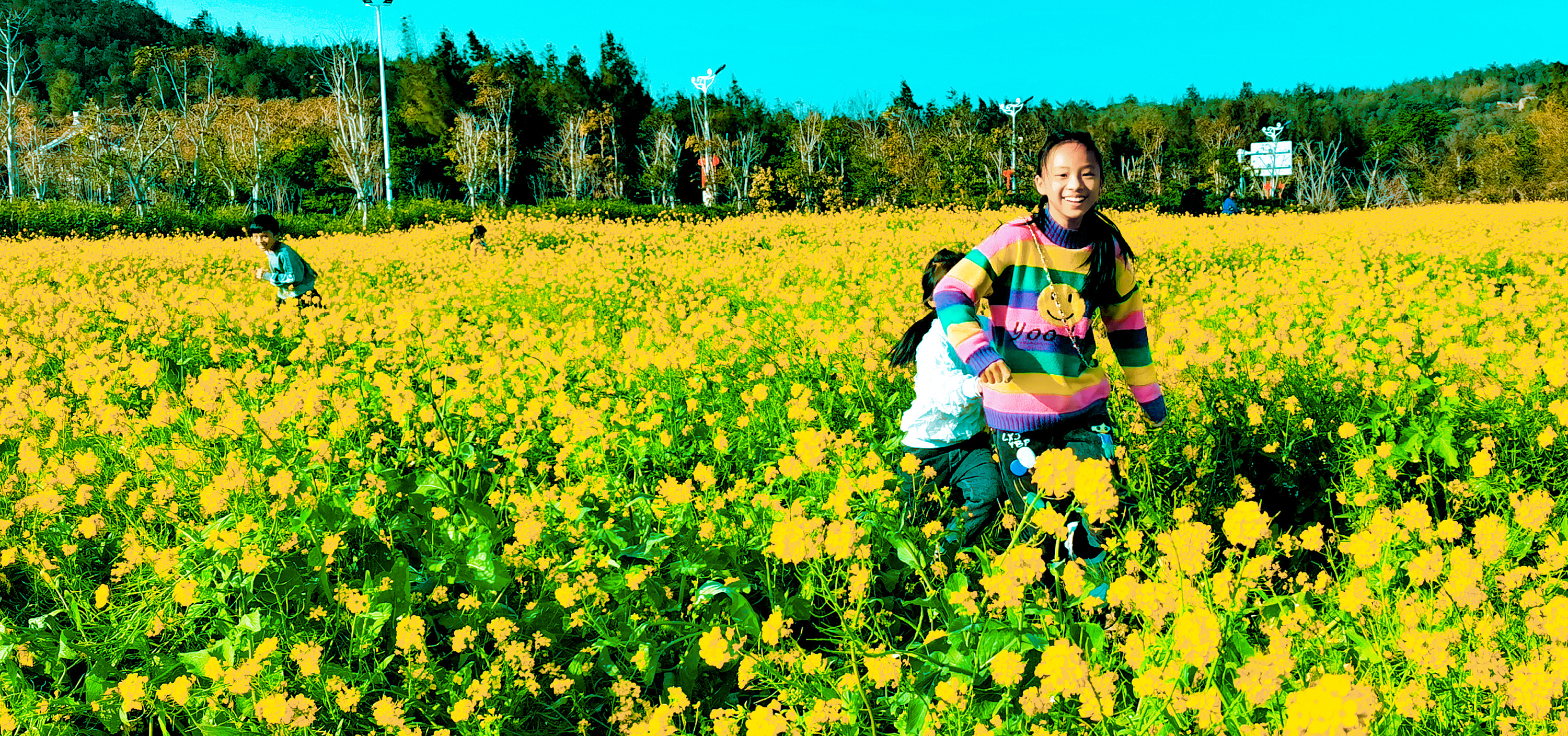 兴化千岛拥有万亩油菜花田，堪称江苏最美油菜花观赏地之一_旅游美食季_新浪博客