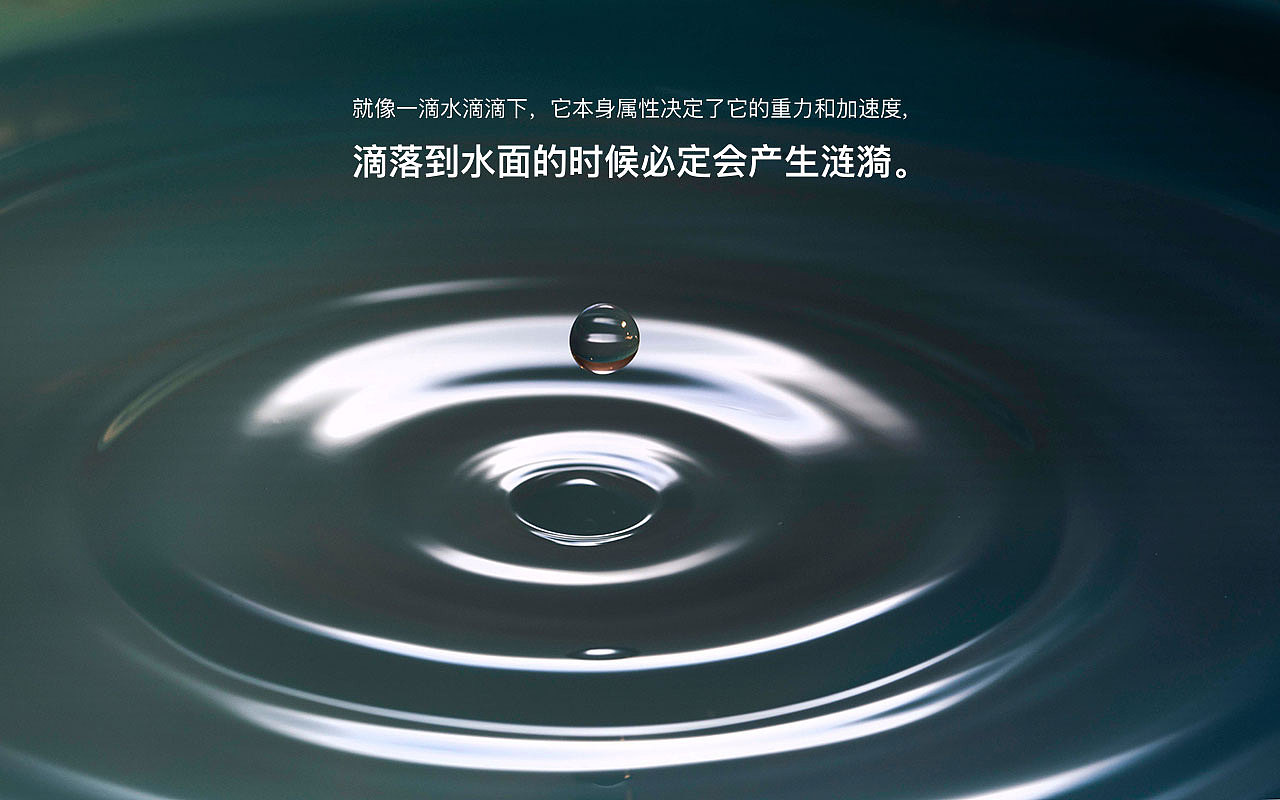 Raputa花园市集企业品牌形象（图ZMjM3MzM1MzEy） - 品牌 - 站酷设计师aime_chan原创素材 - 站酷ZCOOL