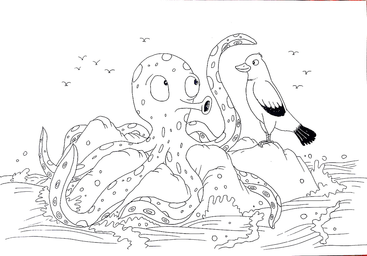 《鸟为什么是鸟儿?》英文绘本