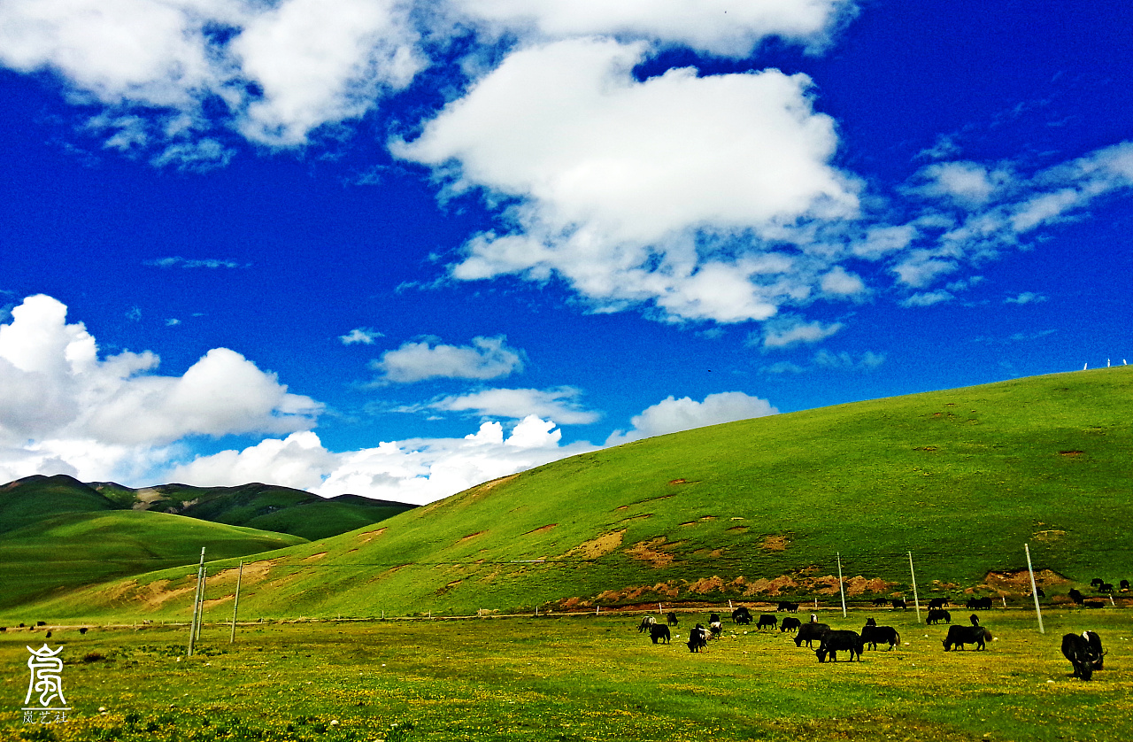 中国最美的六大草原|画廊|中国国家地理网