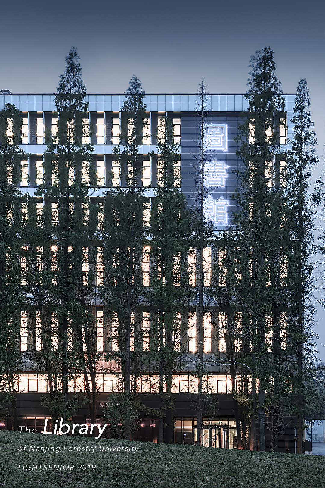 建筑摄影|南京林业大学图书馆（图ZMTU2ODA2MDg4） - 环境/建筑摄影 - 站酷设计师建筑摄影师曜有光原创素材 - 站酷ZCOOL