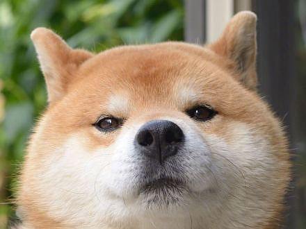 练习