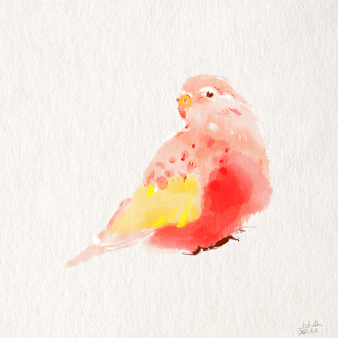 《有脚的鸟》（图ZMjY1MTc4NDA0） - 创作习作 - 站酷设计师洛璃洛璃呀原创素材 - 站酷ZCOOL