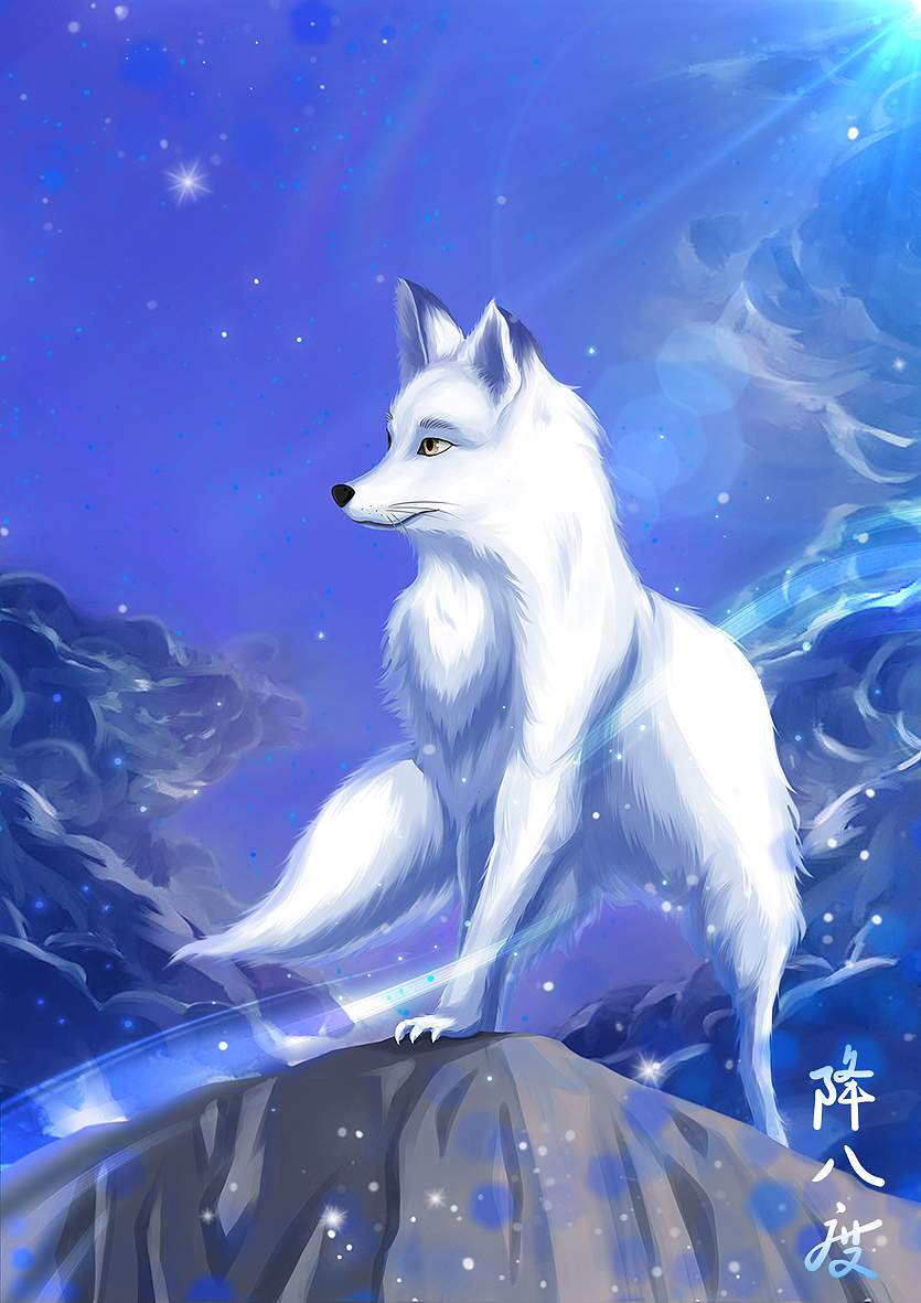 白狐|插画|创作习作|降八度_原创作品-站酷zcool