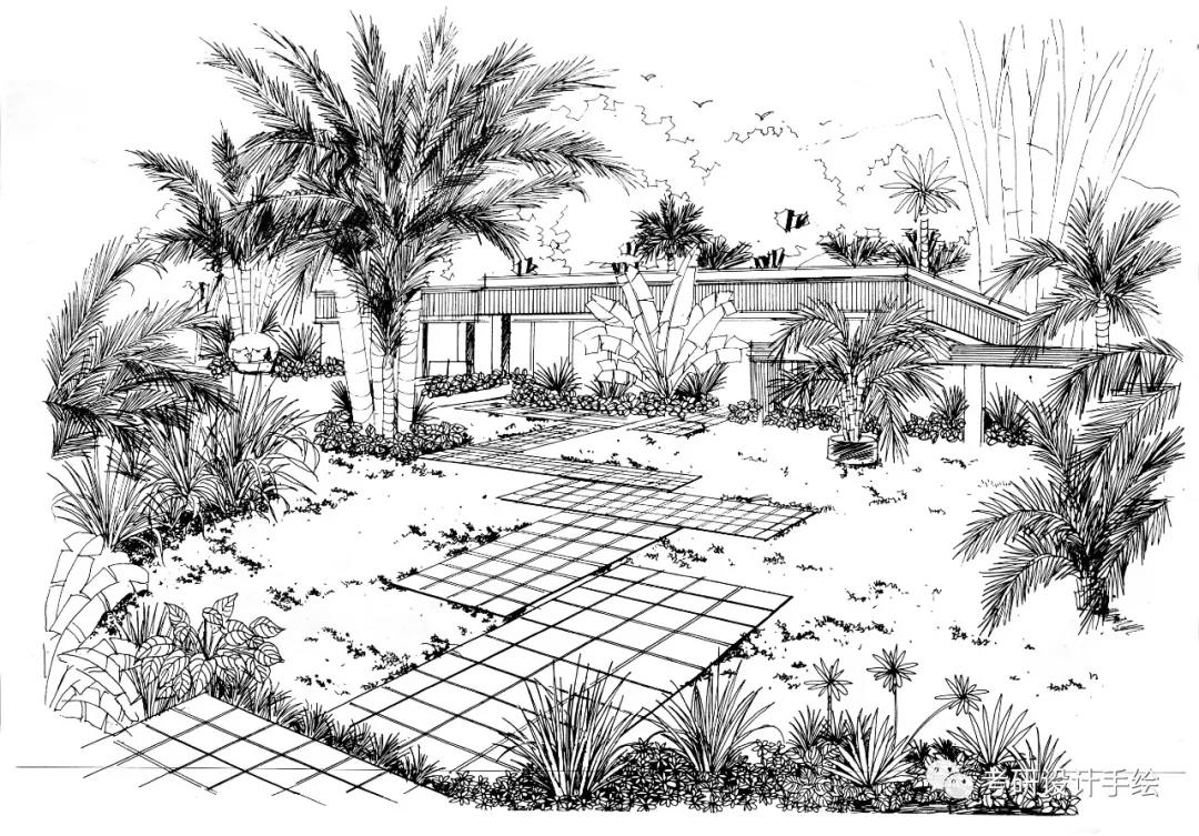 景观建规考研必藏手绘线稿干货线条61单体61小品61透视61鸟瞰