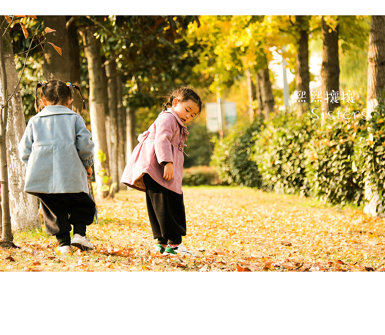 我的熙熙攘攘拍摄——秋天落叶（图ZMTgzMzcxOTQ0） - 人像摄影 - 站酷设计师我的熙熙攘攘原创素材 - 站酷ZCOOL