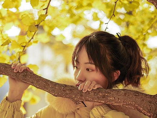 和室友的学校银杏半日游