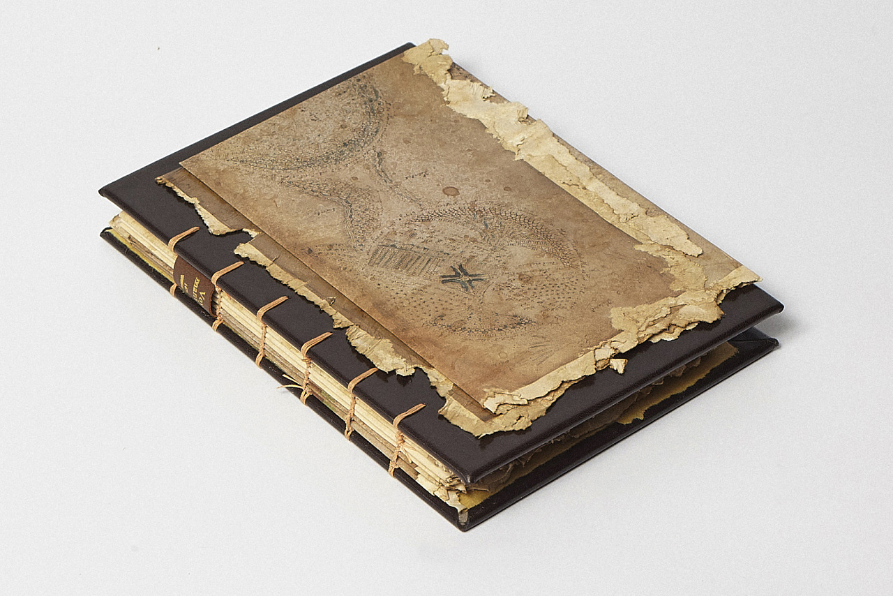 一本神秘的书籍《voynich manuscript》(伏尼契手稿)