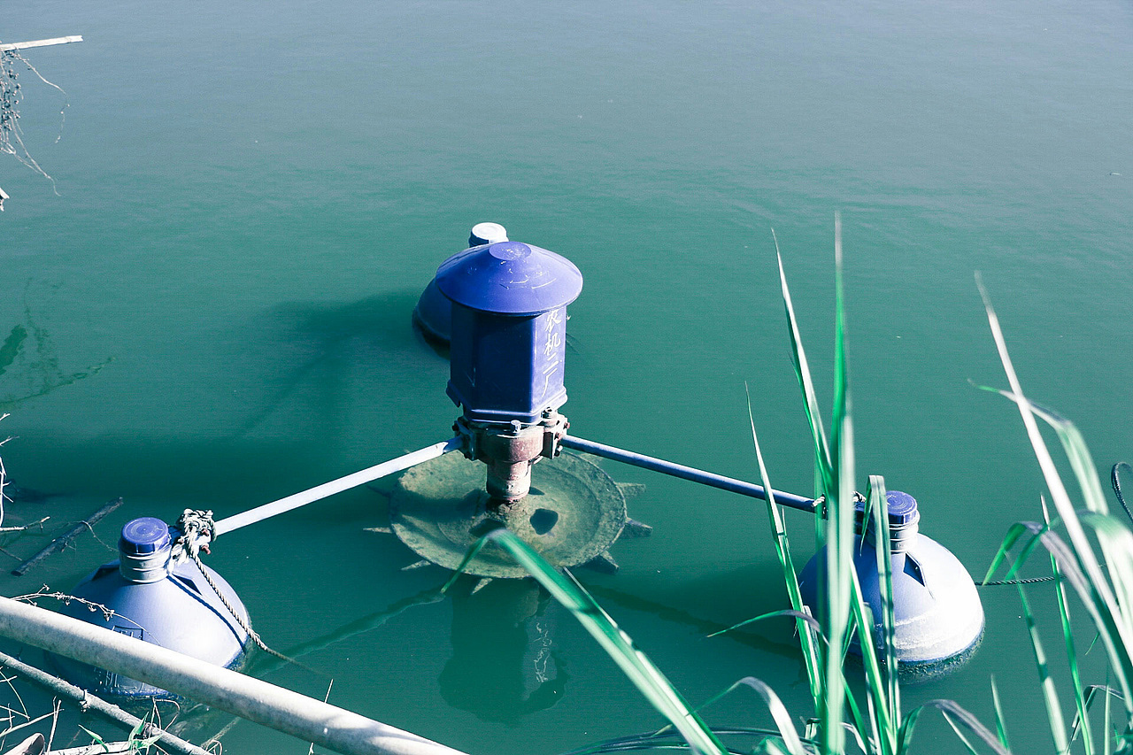 新年随手拍拍拍